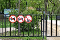 Берегите лес: простые действия ради безопасности